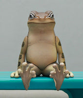 Kitan Club - Sitting Frog Gacha